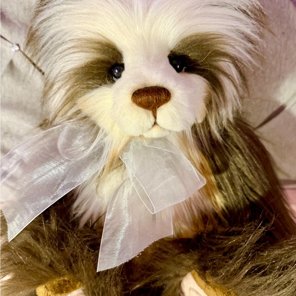 Charlie bear Birthday bear 2021 brand new with tags  gorgeous bear